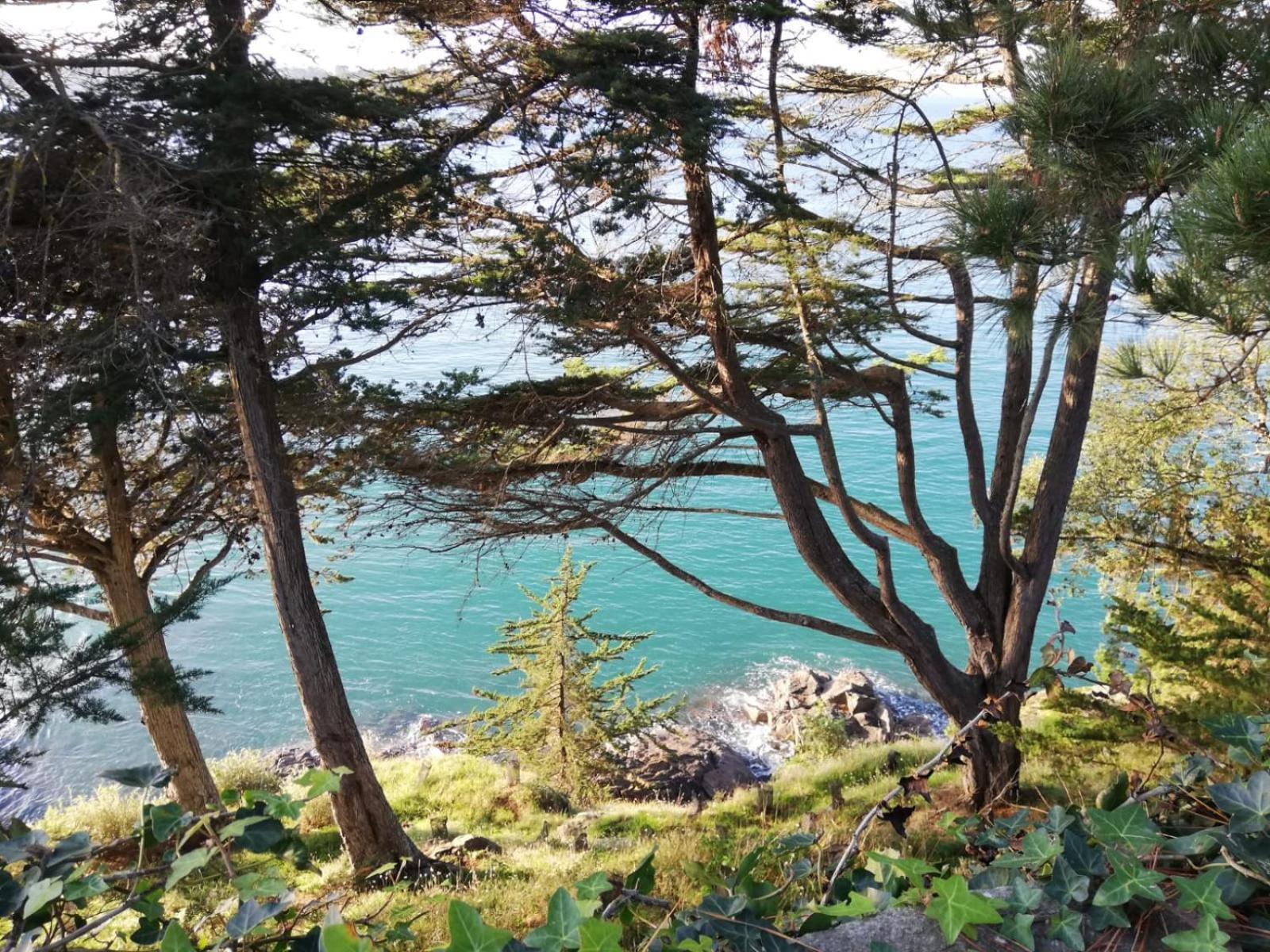 Rance solidor ter Saint-Malo Exterior foto